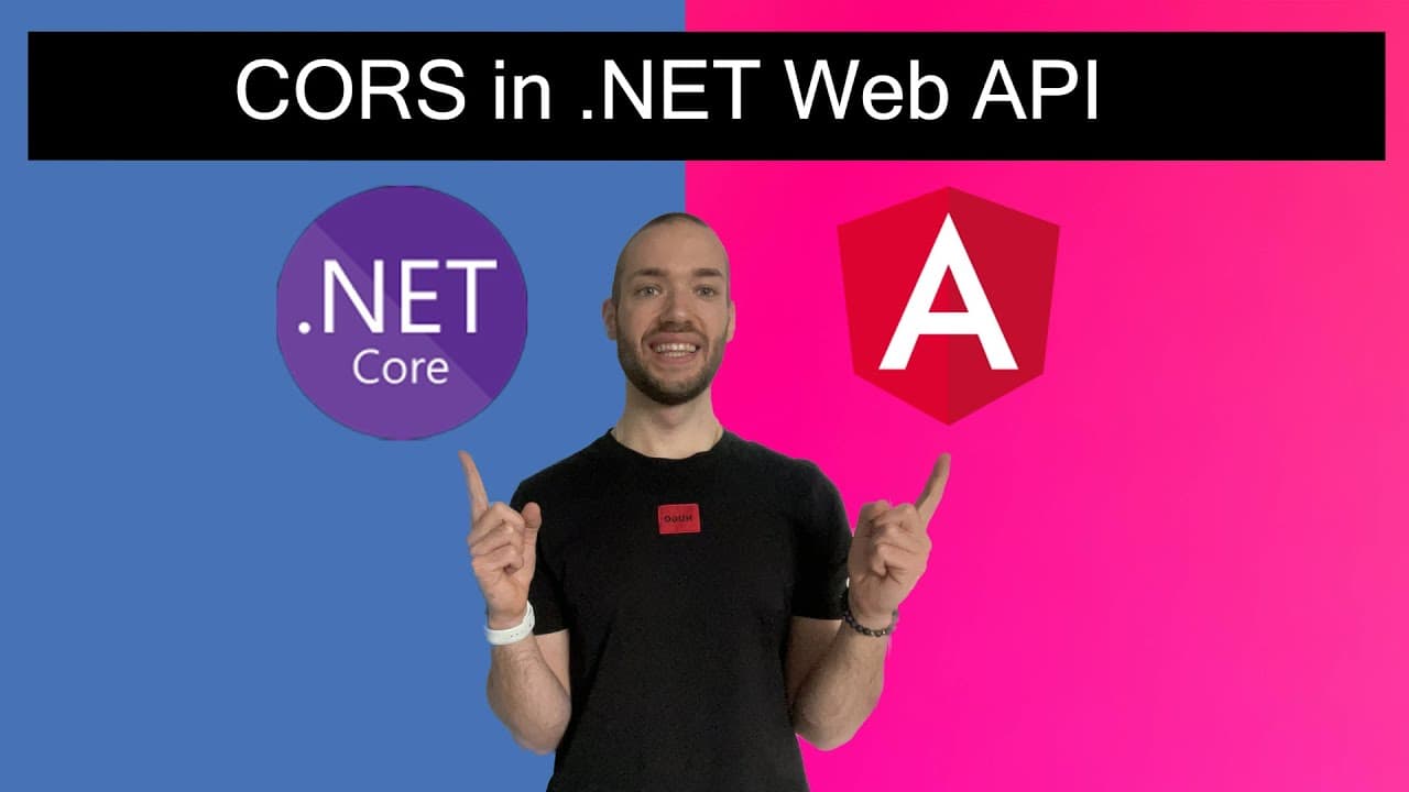 how-to-setup-cors-dotnet-web-api